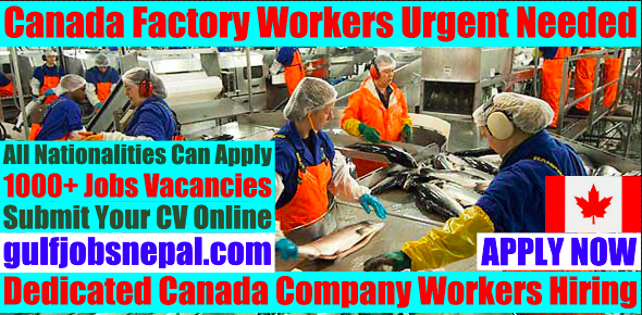 Canada Factory Jobs Offer For Foreigners