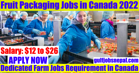 Canada Fruit Packaging Jobs
