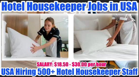 Hotel Housekeeper