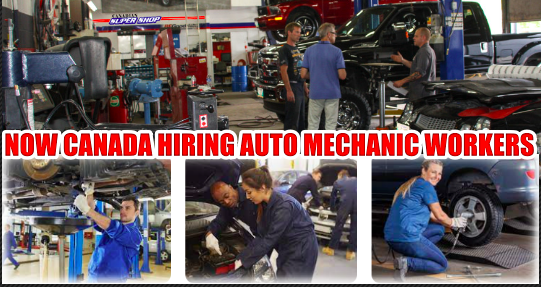 Auto Mechanic Job